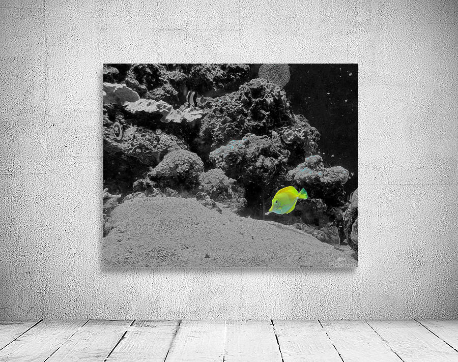 Tropical Fish Wall Preview