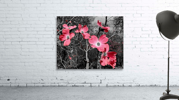 Red Dogwood Wall Preview