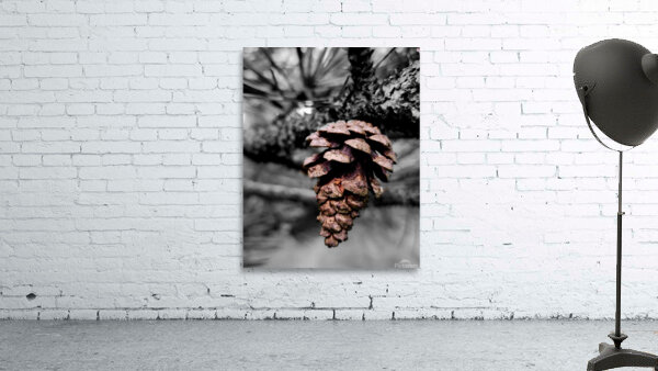 Pinecone Wall Preview