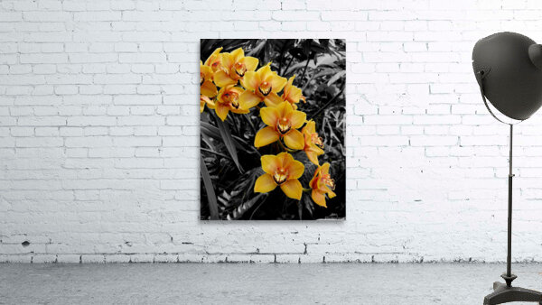 Orchids 3 Wall Preview