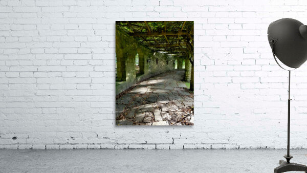 Mt Assisi Garden 2 Wall Preview