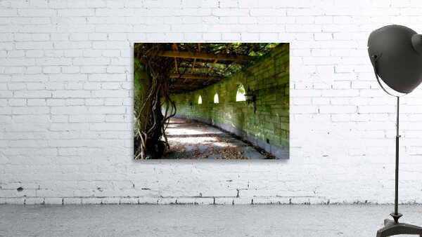 Mt Assisi Garden 1 Wall Preview