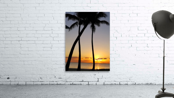 Florida Keys Sunrise & Palms 1 Wall Preview