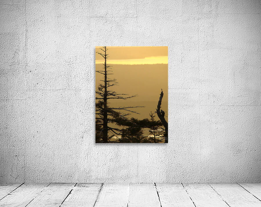 Golden Sunrise Wall Preview