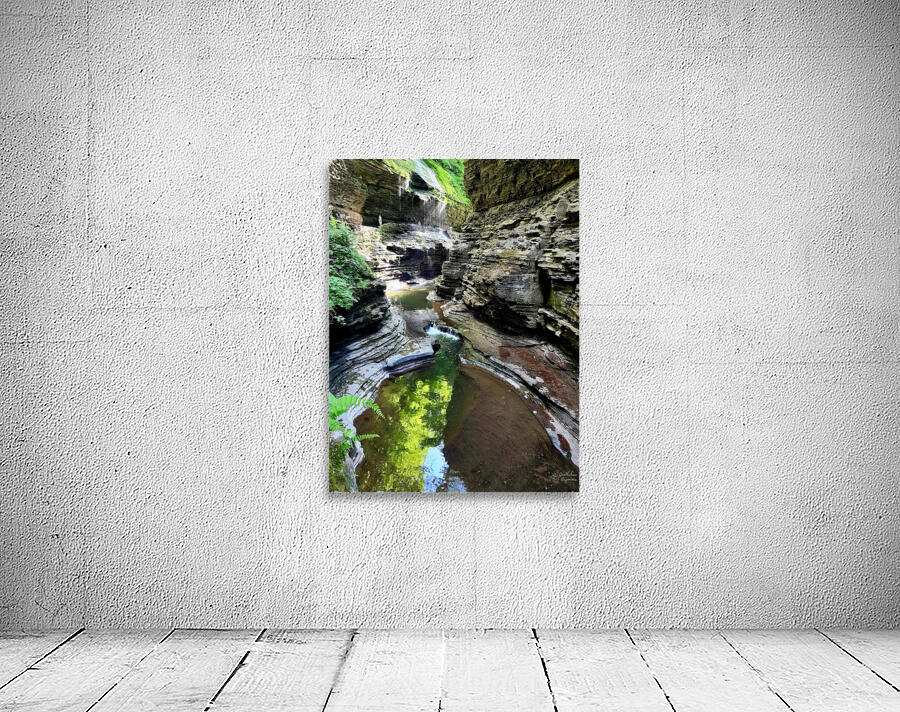 Watkins Glen State Park Wall Preview