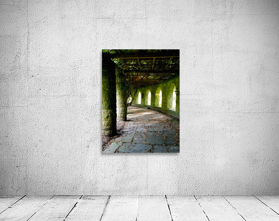 Mt Assisi Garden 3 Wall Preview