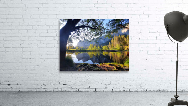 Yosemite 2 Wall Preview