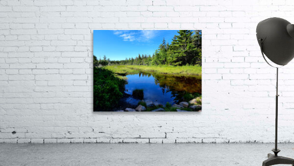 Acadia Wetland Wall Preview