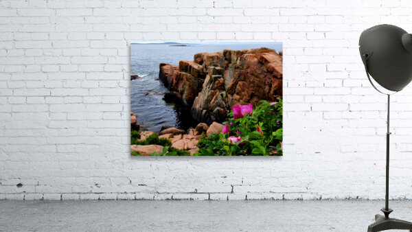 Acadia Coast Wall Preview