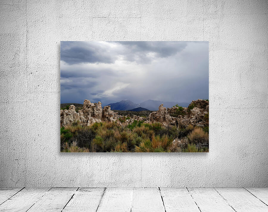 Rainstorm At Mono Lake Wall Preview