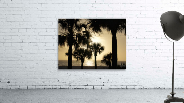 Palm Trees Silhouette Wall Preview