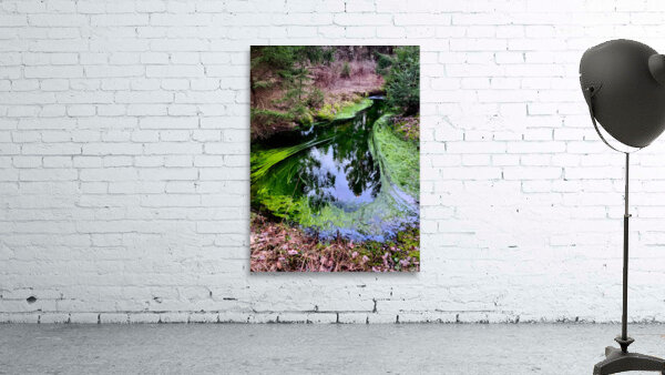 Reitz  2 AMD Wall Preview