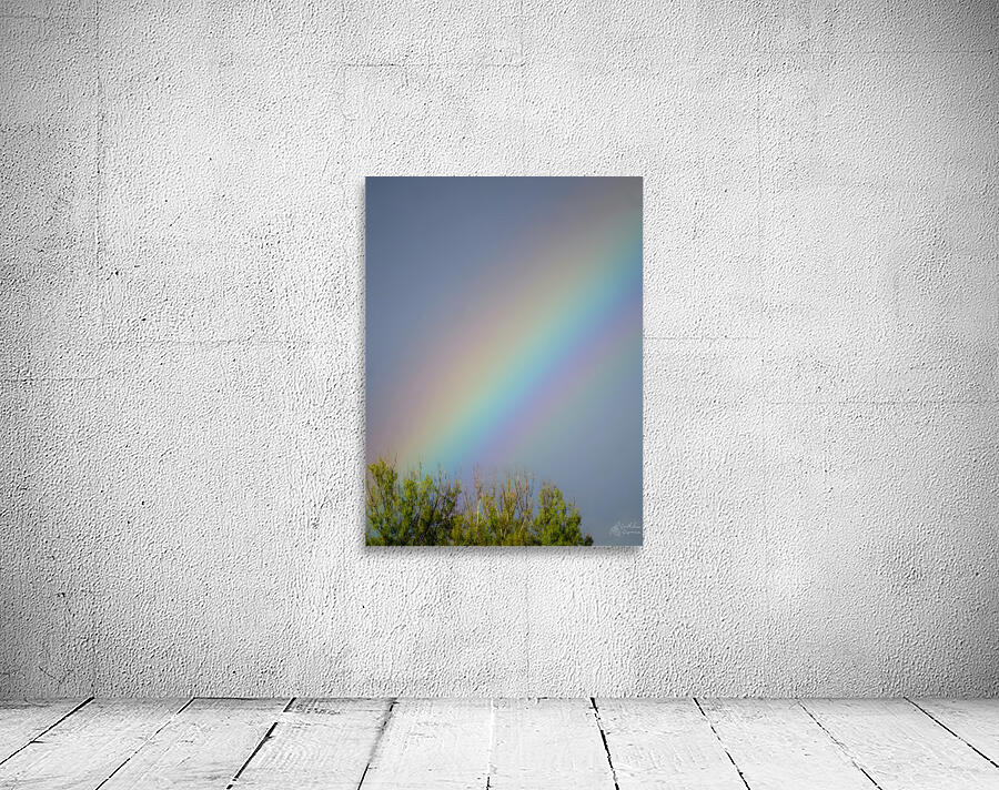 Rainbow Wall Preview