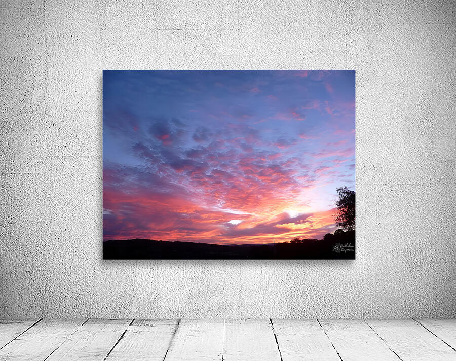 Pink In The Morning Wall Preview