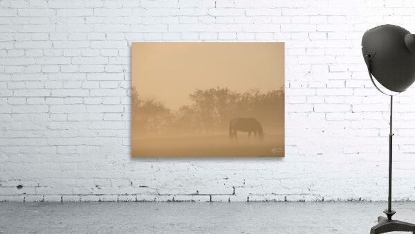 Misty Morning Grazing Wall Preview