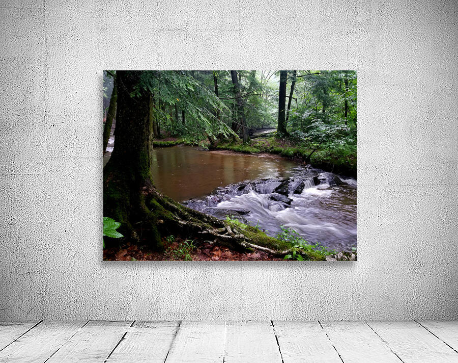 Hemlock Stream Wall Preview