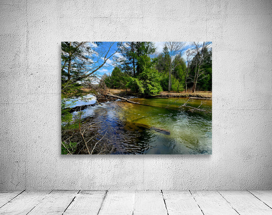 Spring At Clear Shade Creek Wall Preview