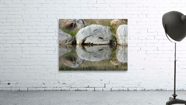 Rock Smile Wall Preview