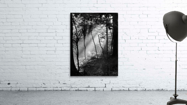 Morning Sunlight Wall Preview