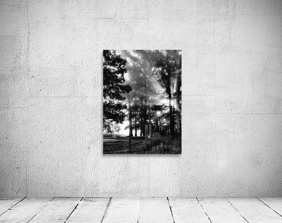 Misty Morning Rays Wall Preview