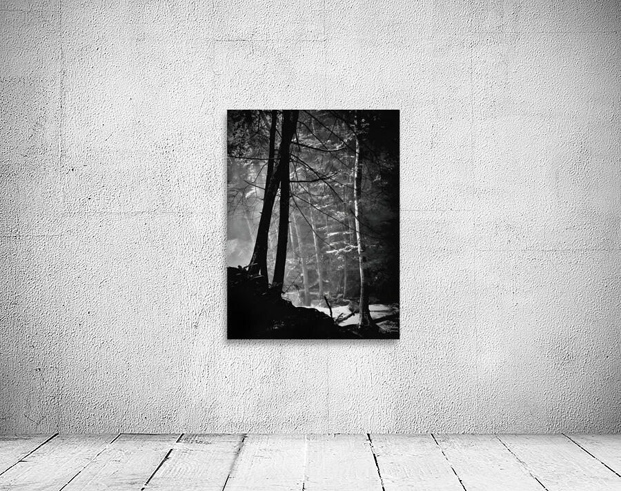 Forest Light Wall Preview