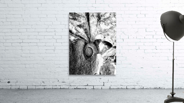 Botanical Shapes Wall Preview