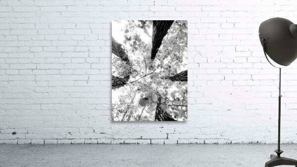 Forest Squad Wall Preview