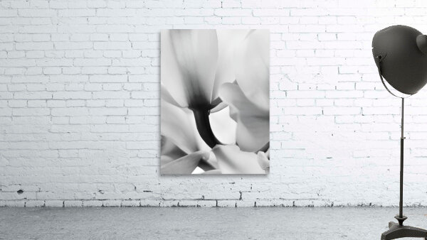 Ethereal Flower Wall Preview