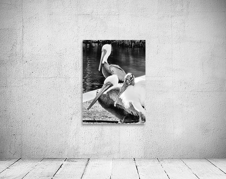 Stork Trio Wall Preview