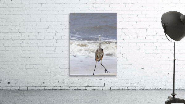 Sneaky Blue Heron Wall Preview