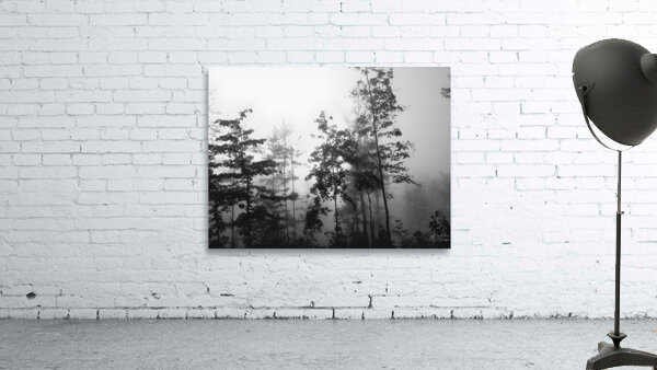 Misty Morning Wall Preview