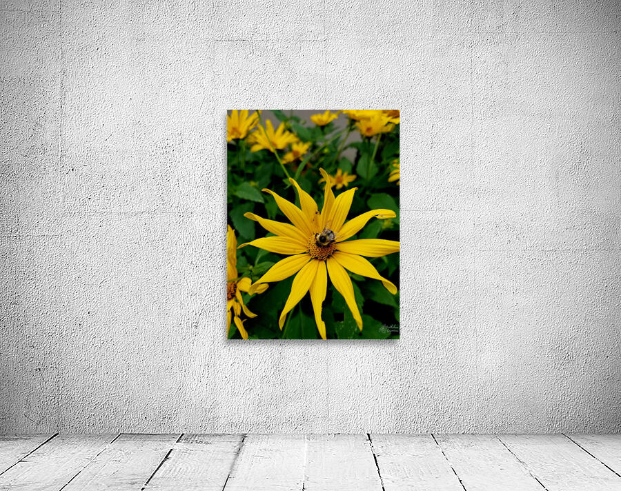 Bumblebee On Helianthus Wall Preview