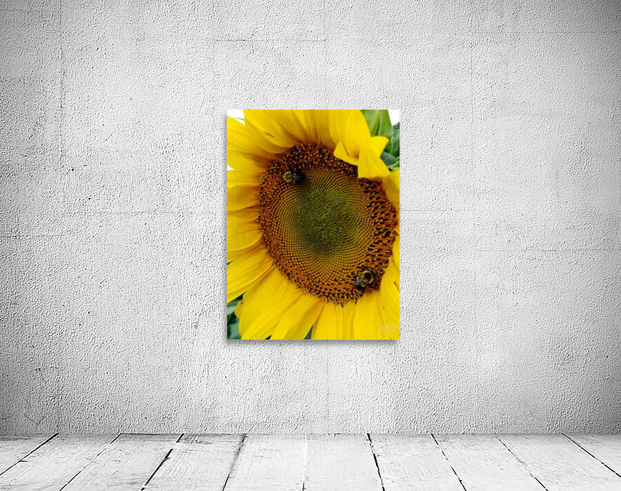 Sunflower Left Wall Preview