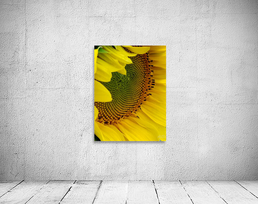 Sunflower Right Wall Preview