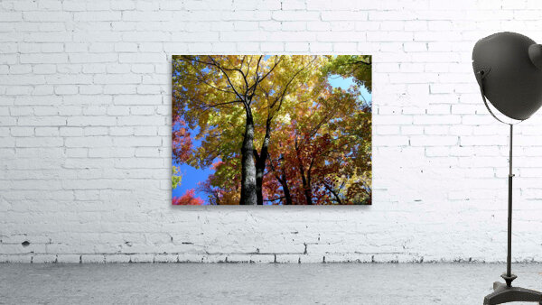 Golden Tree Horizontal Wall Preview