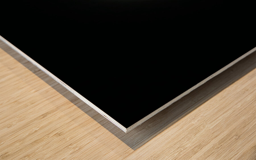 Great American Total Solar Eclipse April 8 2024 3 Wood print