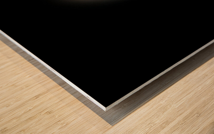 Great American Total Solar Eclipse April 8 2024 4 Wood print