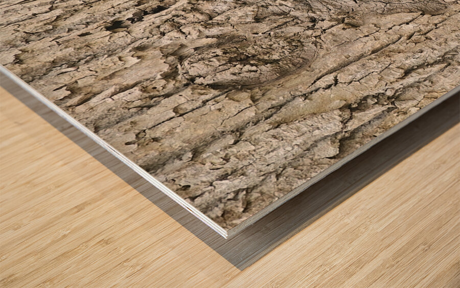 Faces Of The Smokies 3 Wood print