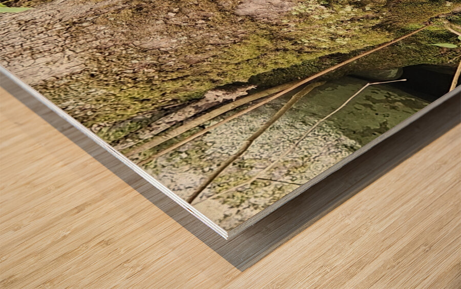 Faces Of The Smokies 1 Wood print