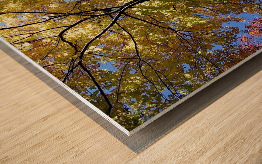 Golden Tree Wood print