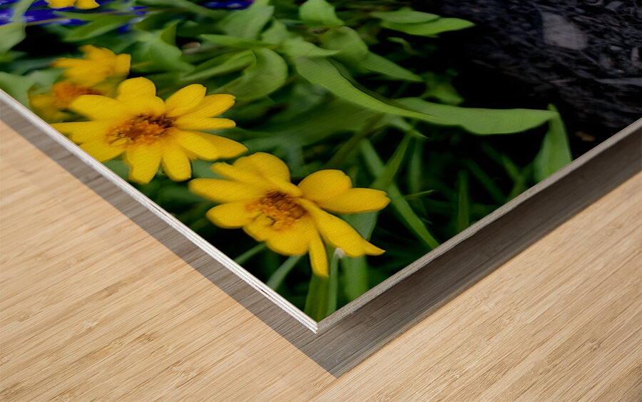 VT Peony 1 Wood print