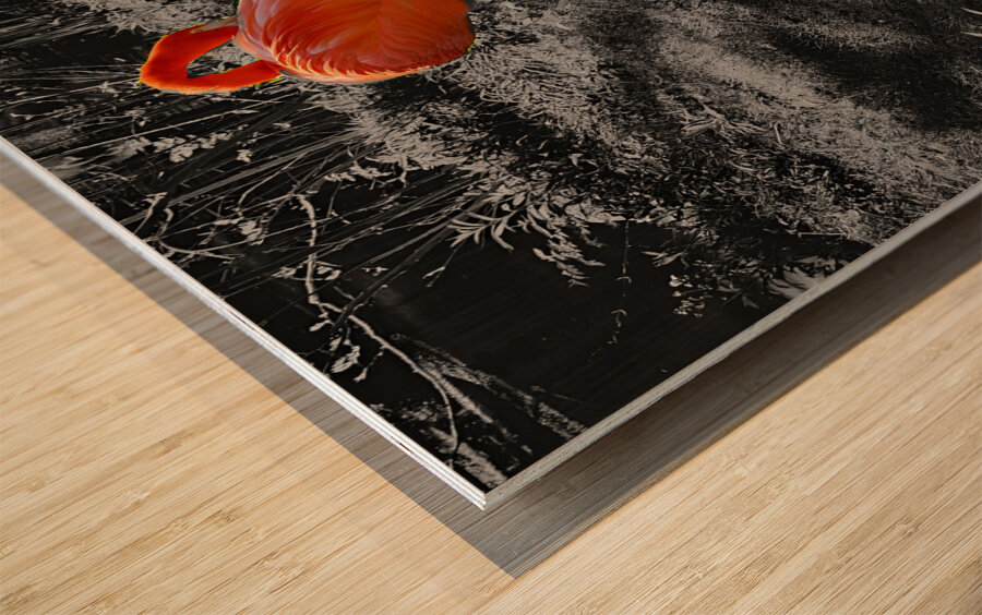Flamingos Tucked Impression sur bois