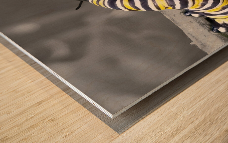 Monarch Caterpillars Wood print