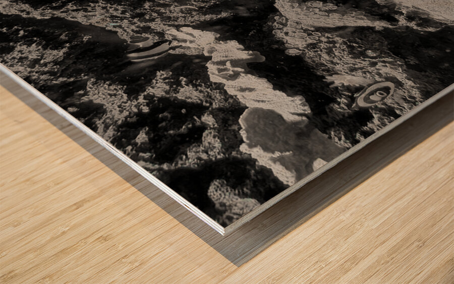 Tropical Fish Wood print