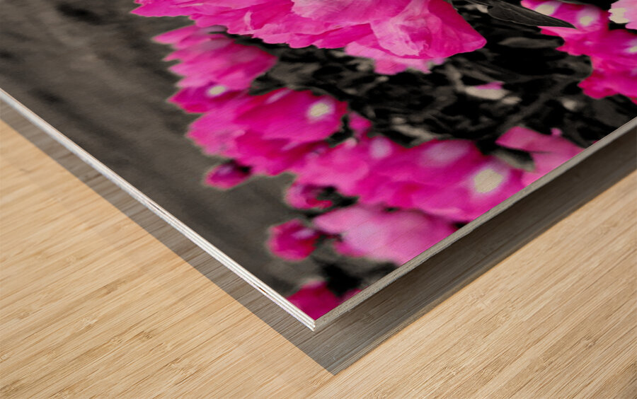 Pink Peonies Wood print