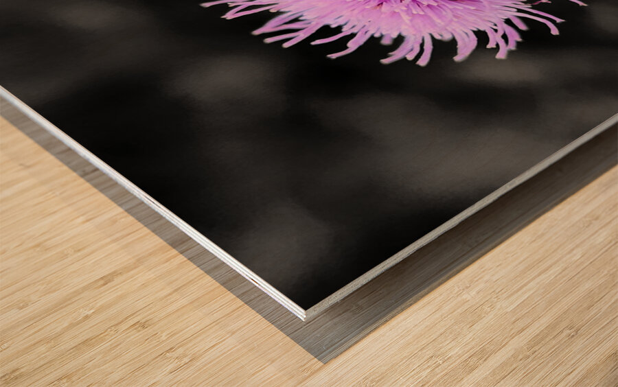 Thistle Wood print
