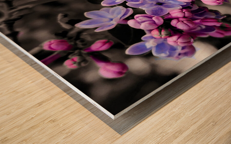 Lilac Wood print