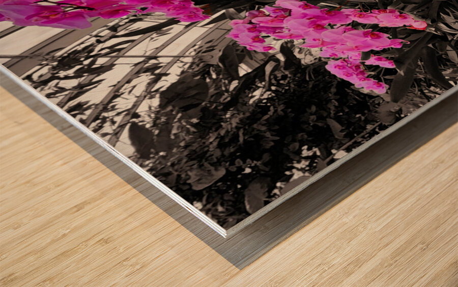 Orchids 2 Wood print