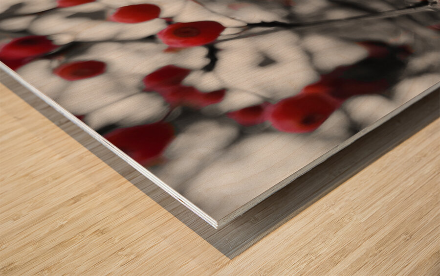 Siberian Crabapple Wood print