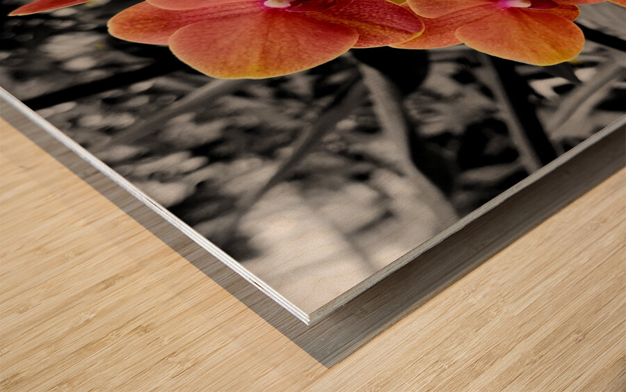 Orchids 4 Wood print